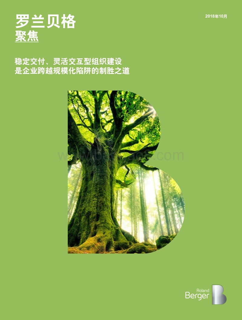 稳定交付、灵活交互型组织建设是企业跨越规模化陷阱的制胜之道.pdf_第1页