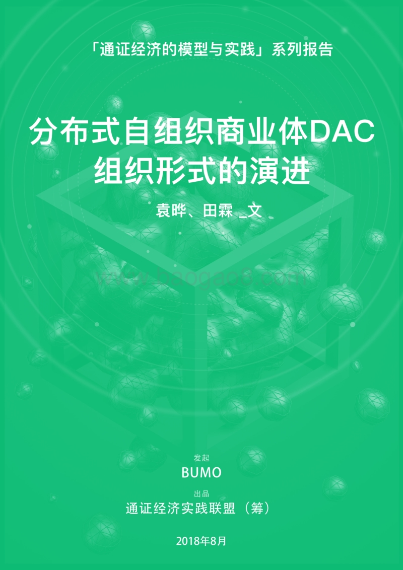 分布式自组织商业体DAC组织形式的演进.pdf_第1页