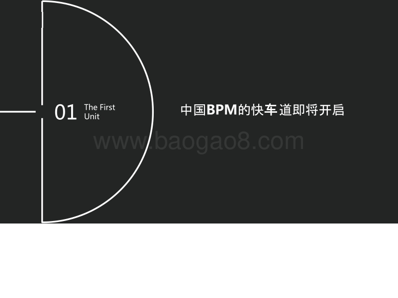 2018-2019中国BPM品牌竞争力指数分析报告.pptx_第3页