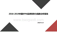 2018-2019中国BPM品牌竞争力指数分析报告.pptx