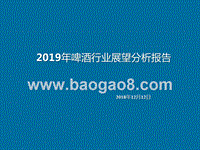 2019年啤酒行业展望分析报告.pptx
