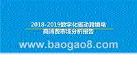 2018-2019数字化驱动跨境电商消费市场分析报告.pptx