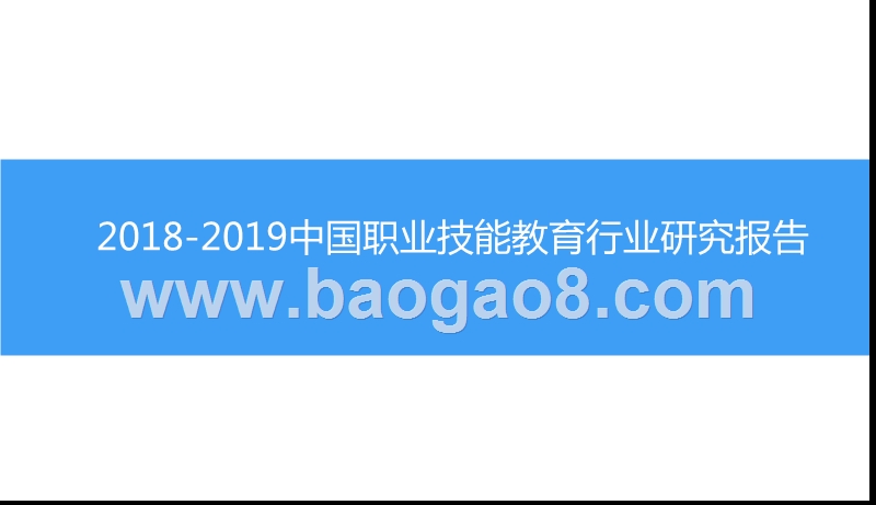 2018-2019中国职业技能教育行业研究报告.pptx_第1页