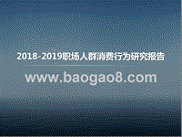 2018-2019职场人群消费行为研究报告.pptx