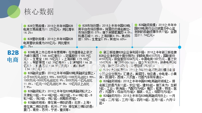 2018-2019中国B2B电子商务市场数据分析报告.pptx_第2页
