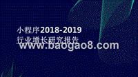 小程序2018-2019行业增长研究报告.pptx