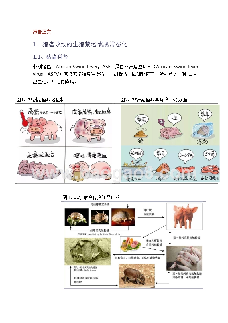 2018-2019农林牧渔行业非洲猪瘟分析报告.pptx_第5页
