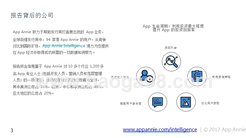 应用专业人士对应用经济调查盈利分析报告.pptx_第3页