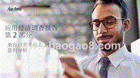 应用专业人士对应用经济调查盈利分析报告.pptx
