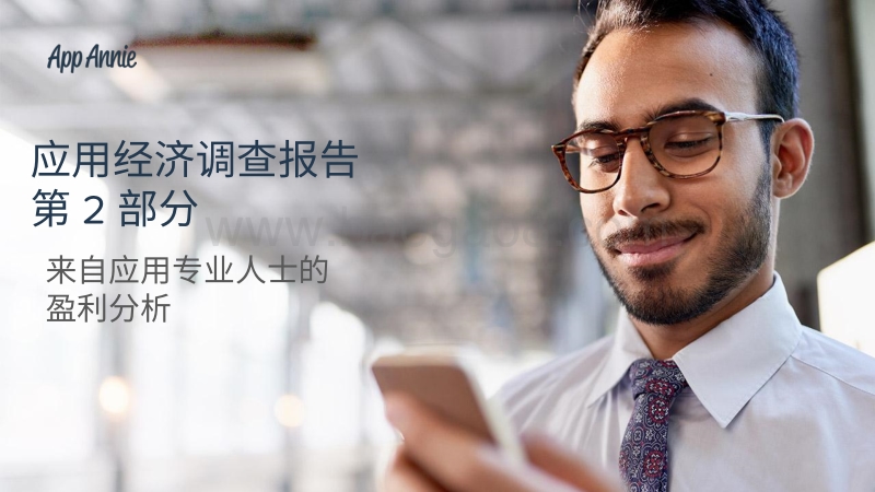 应用经济调查报告第2部分：应用专业人士的盈利分析.pdf_第1页