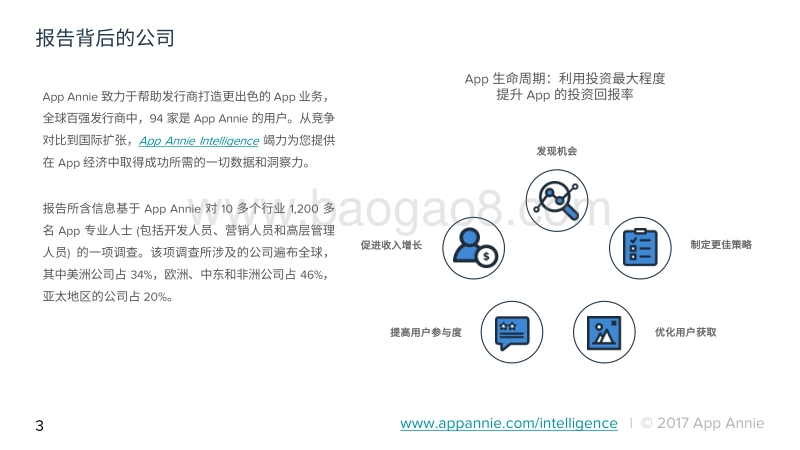 应用经济调查报告第2部分：应用专业人士的盈利分析.pdf_第3页