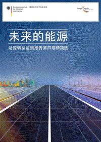 未来新能源研究报告.pdf