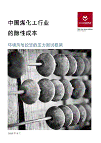 2017-2018中国煤化工行业的隐性成本分析报告.pdf