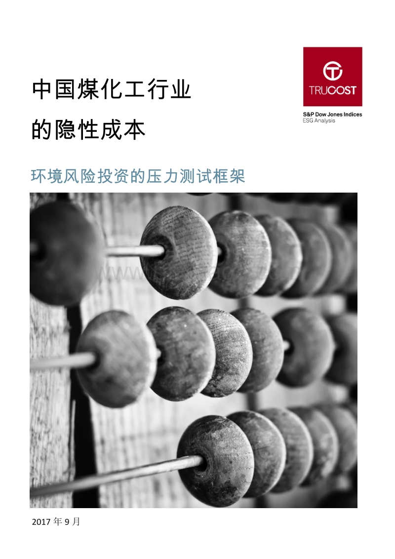 2017-2018中国煤化工行业的隐性成本分析报告.pdf_第1页