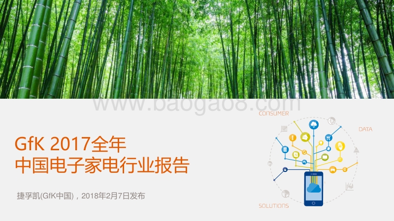 2017全年中国电子家电行业报告.pdf_第1页
