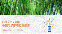 2017全年中国电子家电行业报告.pdf