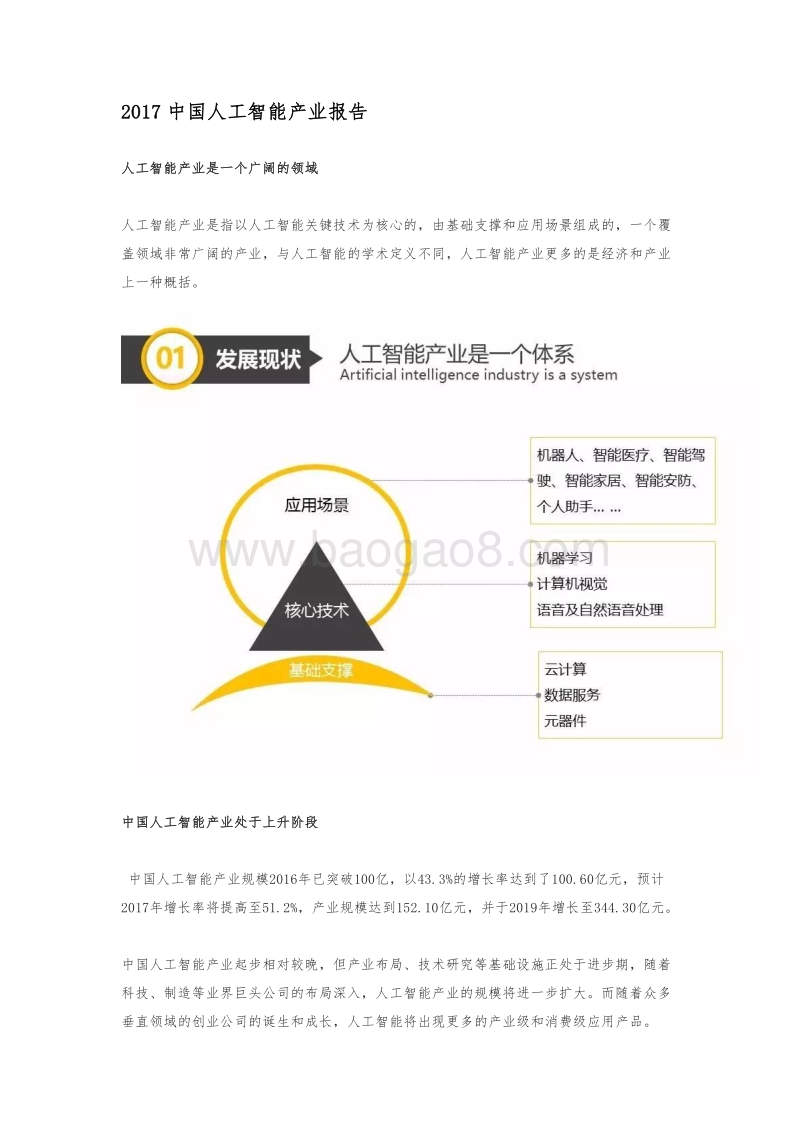 2017中国人工智能产业报告.pdf_第1页