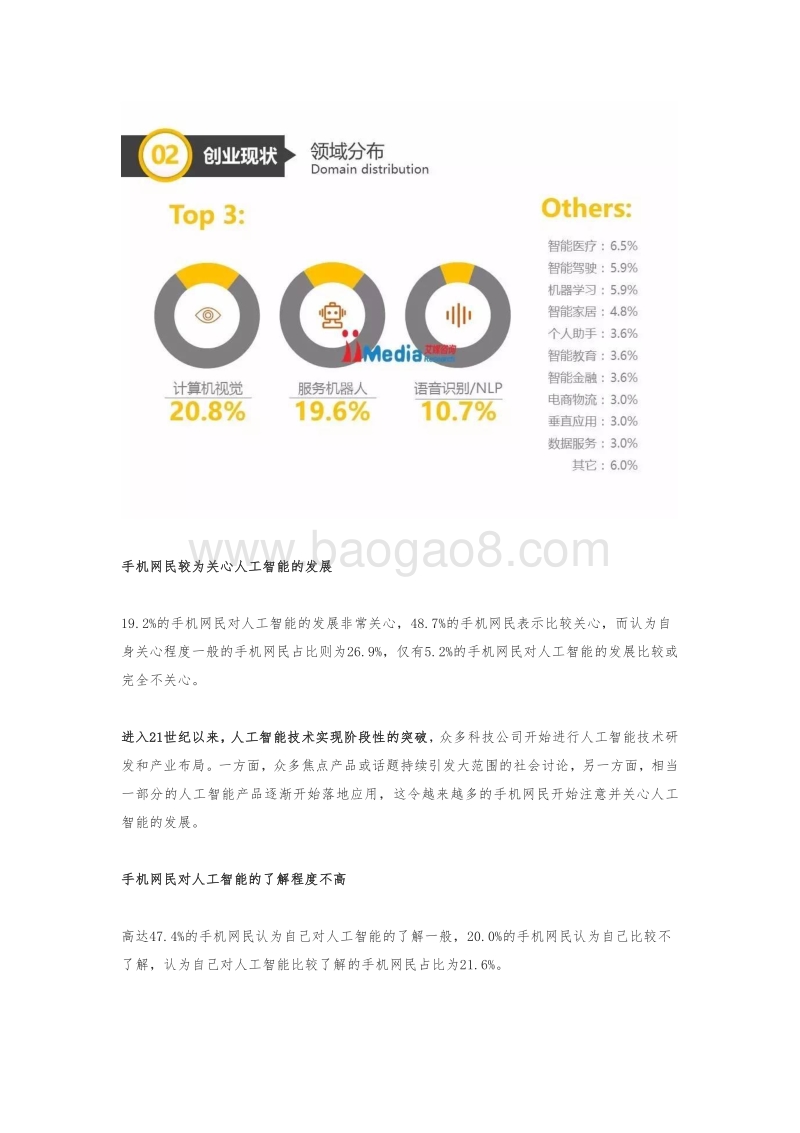 2017中国人工智能产业报告.pdf_第5页