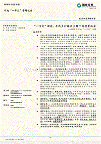 2018年中央“一号文”专题：“乡村振兴主题下的投资机会分析报告.pdf