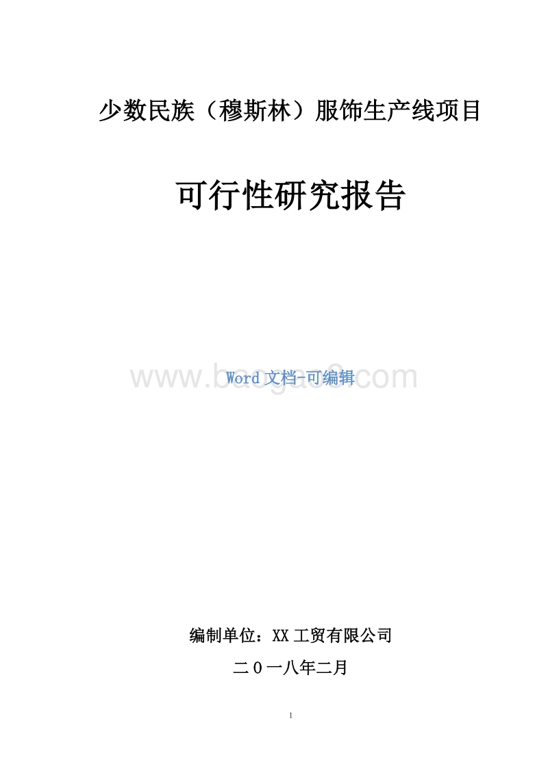 少数民族（穆斯林）服饰生产线项目可行性研究报告.doc_第1页