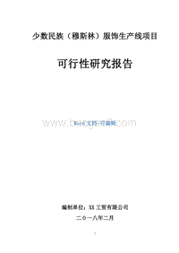 少数民族（穆斯林）服饰生产线项目可行性研究报告.doc
