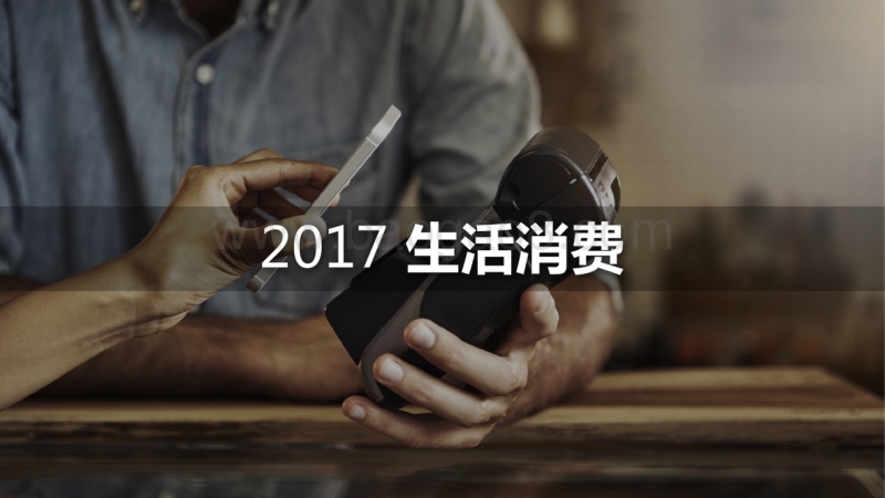 2017年度大众生活消费趋势洞察报告.pdf_第3页