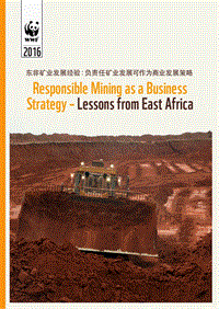 矿业发展可作为商业发展策略分析报告.pdf