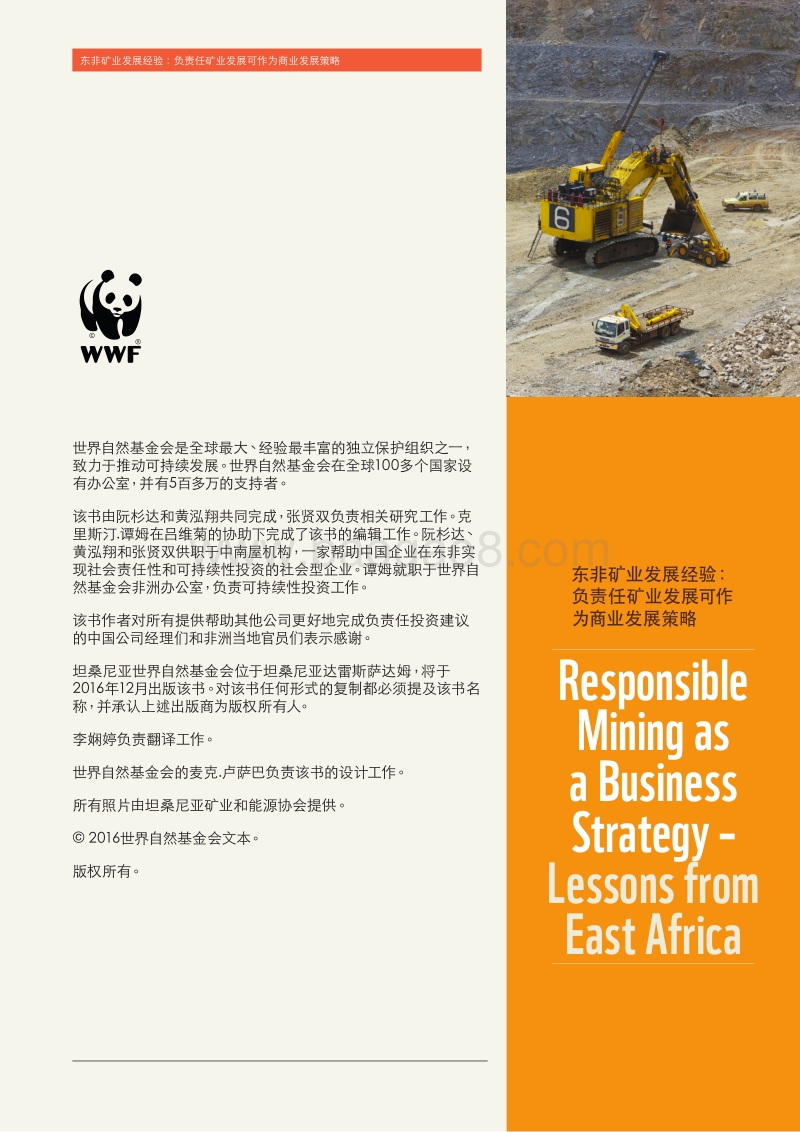 矿业发展可作为商业发展策略分析报告.pdf_第2页