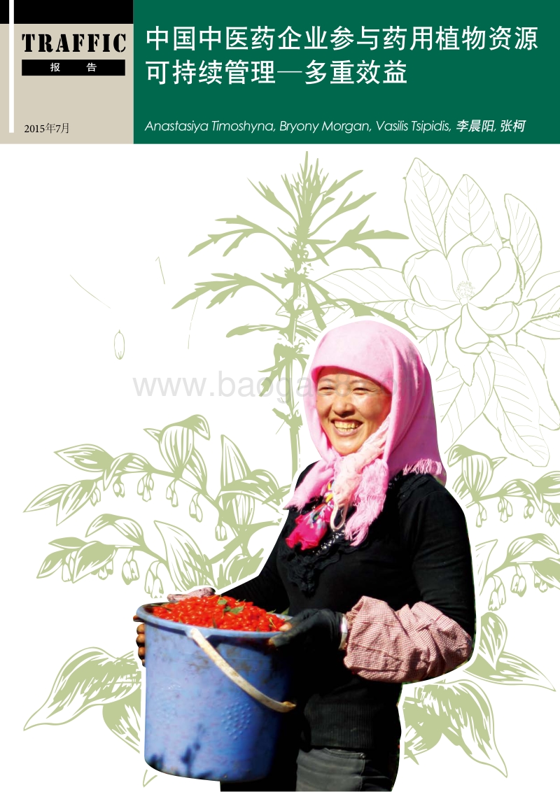 2018中国中医药企业参与药用植物资源可持续管理研究报告.pdf_第1页