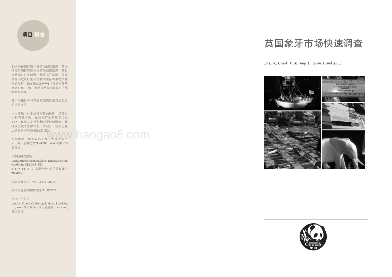 英国象牙市场快速调查报告.pdf_第2页