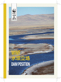 水坝立场.pdf
