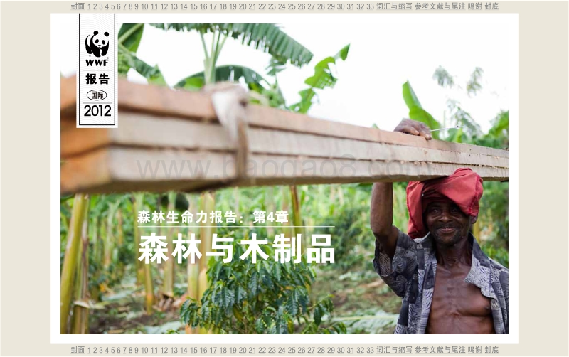 森林生命力报告：森林与木制品.pdf_第1页