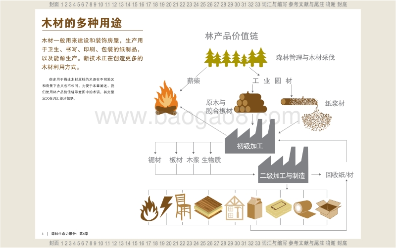 森林生命力报告：森林与木制品.pdf_第4页