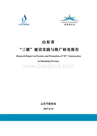 山东省“三能”建设实践与推广研究报告.pdf