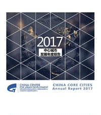2017-2018年中心城市发展年度报告.pdf