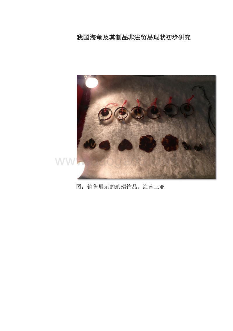 我国海龟及其制品非法贸易现状初步研究.pdf_第2页