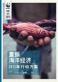 重振海洋经济2015年行动方案.pdf