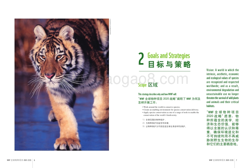 WWF全球物种项目2020战略报告.pdf_第5页