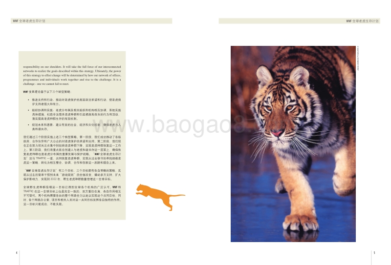 WWF全球老虎生存计划.pdf_第4页