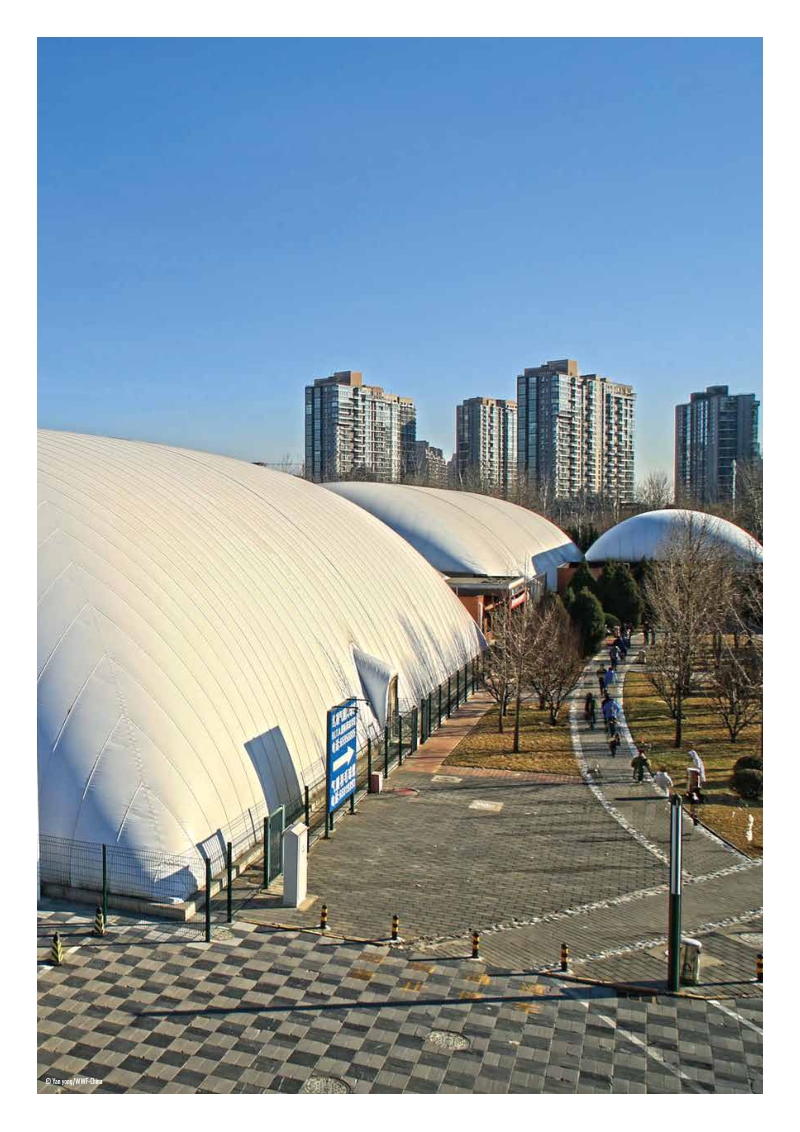 2016-2017WWF碳减排项目研究报告.pdf_第3页