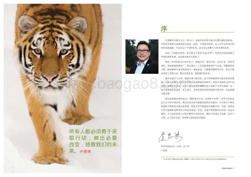 中国的未来发电：2050年中国可再生能源发电的最大潜力评估.pdf_第3页