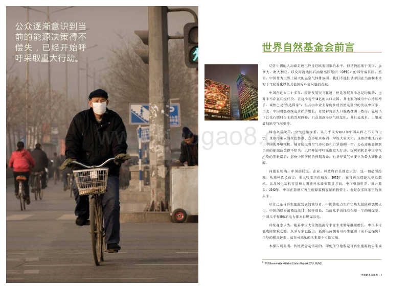 中国的未来发电：2050年中国可再生能源发电的最大潜力评估.pdf_第4页