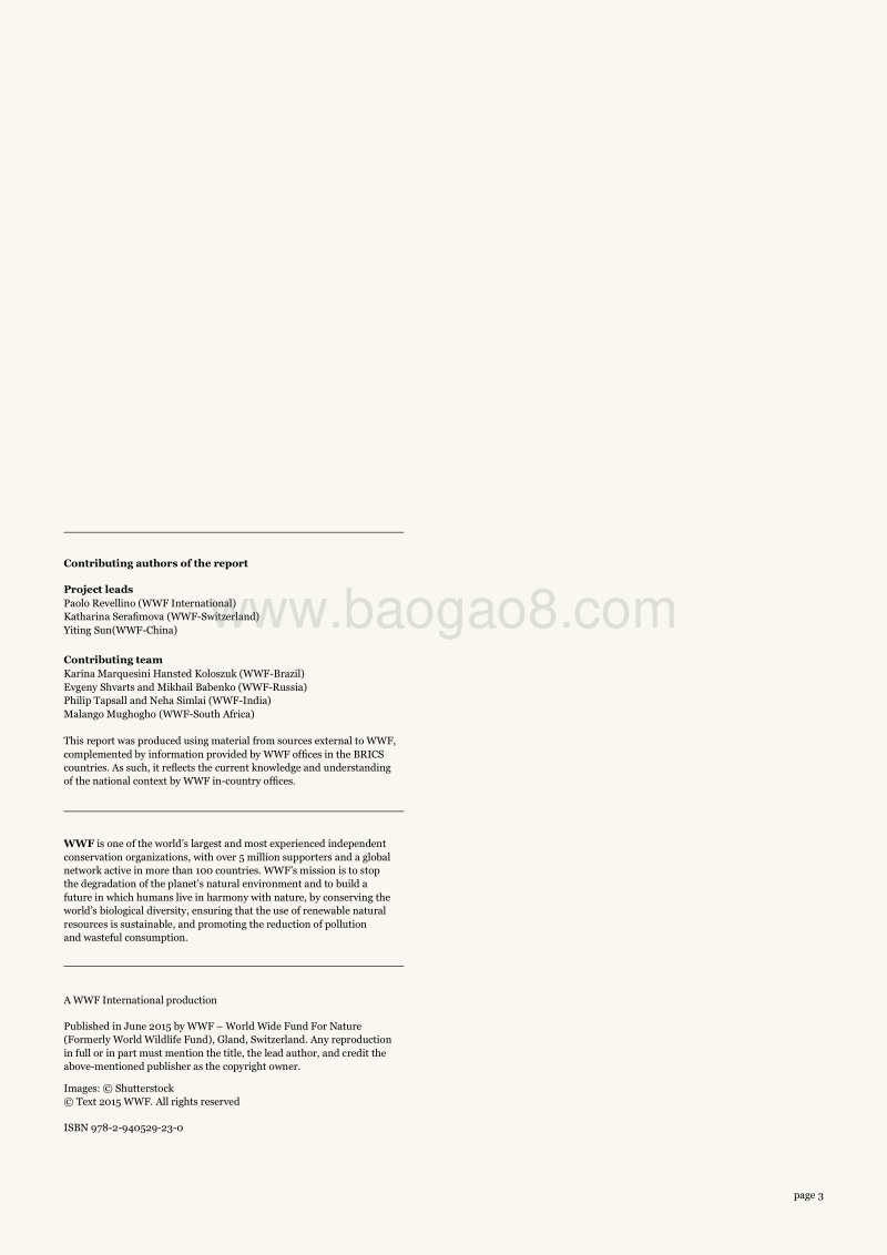 金砖国家可持续金融市场监管比较研究.pdf_第3页