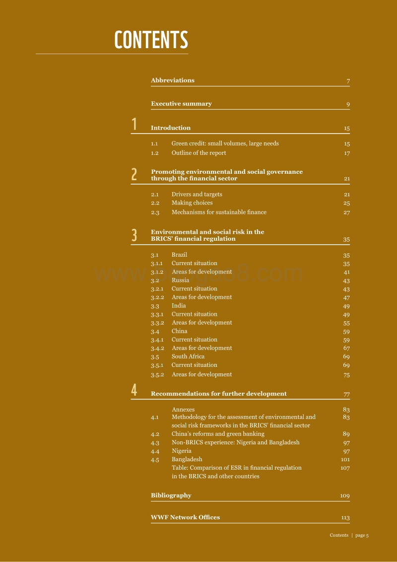 金砖国家可持续金融市场监管比较研究.pdf_第5页