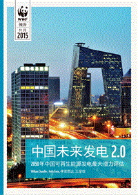 中国未来发电2.0.pdf