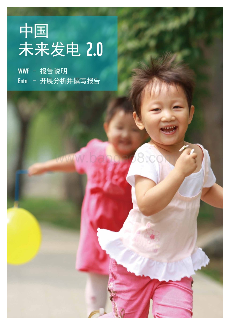 中国未来发电2.0.pdf_第3页