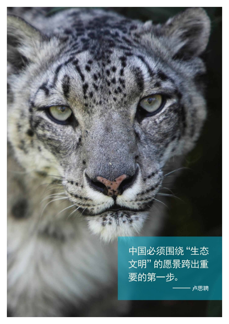 中国未来发电2.0.pdf_第4页