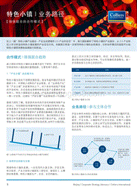 特色小镇强强联合的合作模式策略报告.pdf