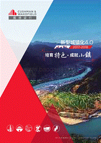 2017-2018新型城镇化4.0：培育特色·成就小镇.pdf
