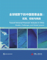 全球视野下的中国普惠金融： 实践、经验与挑战.pdf